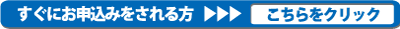 お申込みの直前画面にリンクしています