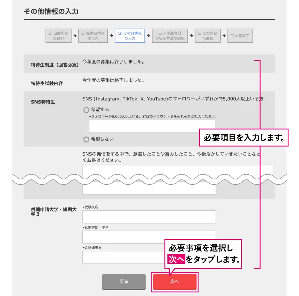 その他情報の入力