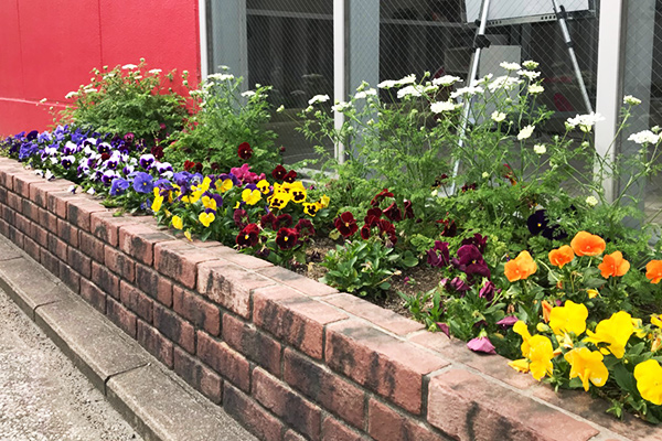 一人一花運動