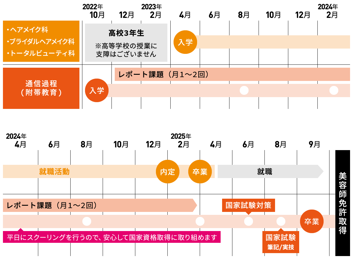 美容師免許プラン