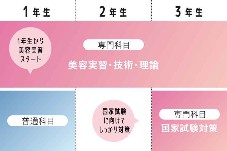 3年間のカリキュラム